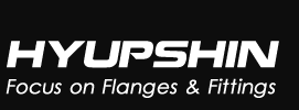Jinan Hyupshin Flanges Co., Ltd, Steel Flanges Manufacturer, Exporter, Supplier From China.
